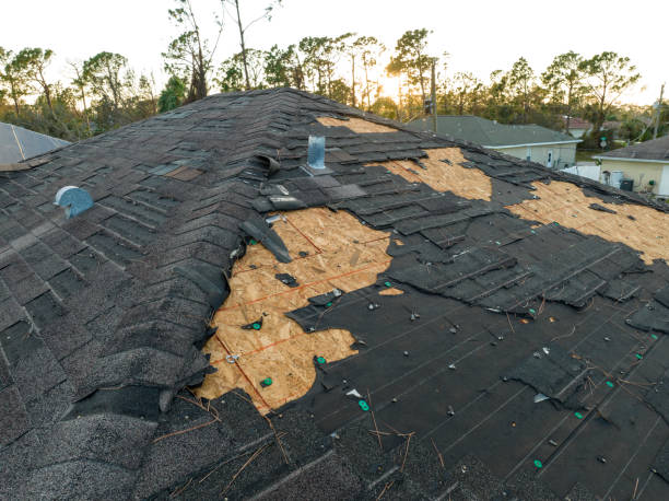 Best Roof Coating and Sealing  in Greenville, PA
